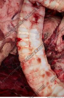 RAW meat pork viscera 0080
